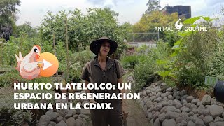 Huerto Tlatelolco: Agricultura urbana como factor de cambio en CDMX