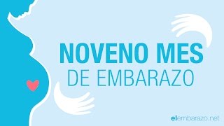 Noveno mes de embarazo | 9 meses de embarazo | El embarazo mes a mes