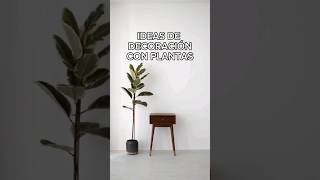 IDEAS DE DECORACIÓN CON PLANTAS 🎍✨️🔥