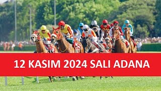 12 KASIM 2024 SALI ADANA AT YARIŞI TAHMİNLERİ VE YORUMLARI