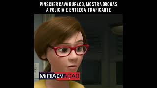 CACHORRO ENTREGA DONO TR4FIC4NTE À P0LÍCI4 MOSTRANDO ONDE ELE GUARDAVA DR0G4S