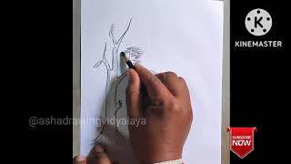 HOW TO DRAW A TREE EASY| TREE DRAWING SCENERY