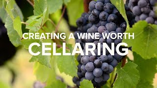 Stag's Leap Wine Cellars - Creating a Wine Worth Cellaring