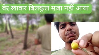 बेर खाकर बिलकुल मजा नहीं आया | VLOG FROM FOREST