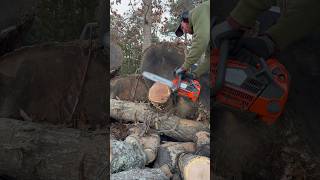 Husqvarna Mark 3 t540xp Cutting Hard Wood  #husqvarna #stihl #chainsaw #arborist #firewood #echo