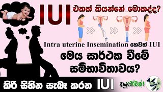 කිරි සිහින සැබෑ කරන IUI | IUI එකක් කියන්නේ මොකද්ද? #IUI #viral #Anushika Perera