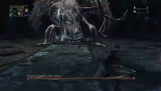 bl4 run till FRC unlock 14-beating vanilla ebrietas...reaching ebrietas 2.0