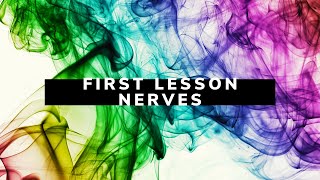 First Lesson Nerves 💙💚💛🧡 True Colours