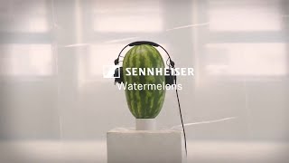 HD 25 – The Watermelon Challenge | Sennheiser