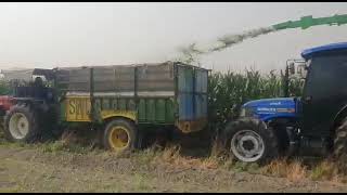 Maize chopping mascin