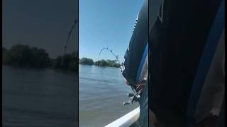 Una pelea épica #pesca #short