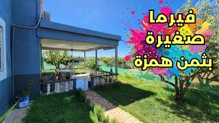 فيرما صغيرة روعة لتتقلب عليها الراحة والطبيعة والثمن مزال لنقاش 🌺🌹✈️