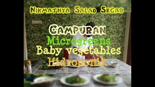 Nikmatnya Salad dari Campuran Sayuran Microgreens, Baby Vegetables dan Hidroponik