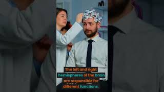 3 interesting Facts about brain. Pt.2 #shorts