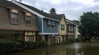 Hurricane Harvey Aftermath - Humble, Texas