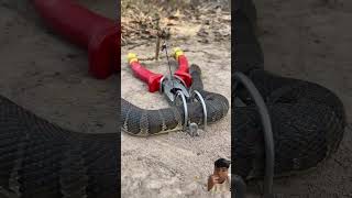 DIY Snake Trap using Pliers #creativesnaketrap #buildsnaketrap#shortsvideo