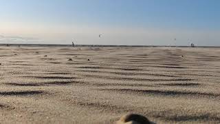 Wind and sand. Palanga