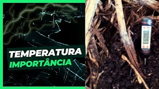 #A importância da temperatura na compostagem ( pré compostagem), para alimentar as minhocas