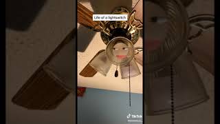 life of a lightswitch(funny things on tiktok)