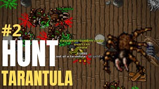 Hunt de tarântula tibia - lvl 37 a 56 - Rubinot