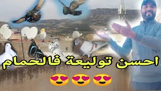 واخيرا الفروج عطيتو لواحد السيد وزولت سكوتش لذكر نحاسي وطلقت الحمام توليعة ممتعة 😍😍😍😍