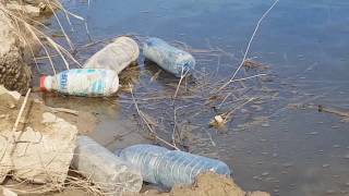 La Albufera será uno de los humedales más limpios del Mediterráneo