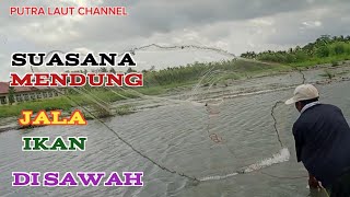 Suasana mendung cuaca mau turun hujan ,coba jala ikan disawah.