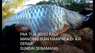 PAK TUA JOGO KALI MANCING IKAN HAMPALA DI AIR DERAS SUNGAI SENAMANG