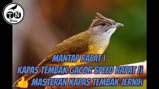 Suara kapas tembak mantap rapat | kapas tembak gacor speed rapat || 👍 masteran kapas tembak jernih