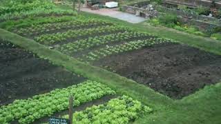 The Walled Garden at Sharpham House - a timelapse