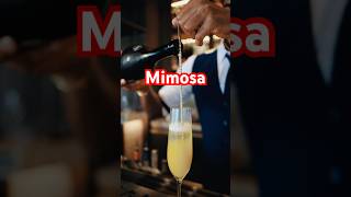 Mimosa recipe #cocktail #mimosa #classiccocktails #didothankyou #thankgodido #lyrics #song #songs