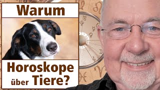 Tier-Horoskope: warum es wichtig ist, sich die Geburtsbilder von Hund, Katze, Pferd... anzuschauen