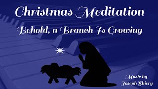 Behold, a Branch Is Growing - Christmas Meditation