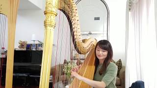 Adagio in g minor by Tomaso Albinoni (Harp cover) #Classicalmusic #Classical