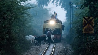 A different traffic jam on the rail - Gwalior to Sabalgarh Passenger at Banmore Gaon