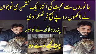 Another Leopard cub caught by locals in  Kashmir Love With Animals A true Story