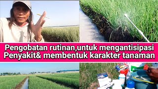 obat rutinan,untuk mengantisipasi datangnya penyakit& membentuk karakter tanaman