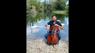 Cello Shreds - "Swan Lake Bang Bang"