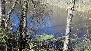 Riley's Lock on a cold Fall day, Nov 21, 2022