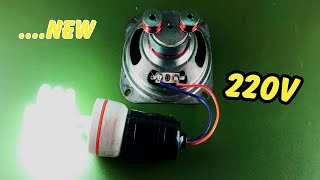 Make Electric Free Energy Using By Speaker Magnet | New Technology Creative For 2020