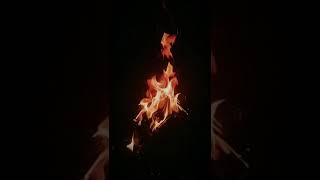 oddly satisfying | Enjoying fire at night camp #Fire