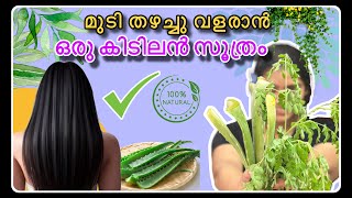 ഒരു കിടിലോൽകിടിലം ഹെയർ പായ്ക്ക് 👌💯Working ✅Natural hair Pack |Anti hair fall