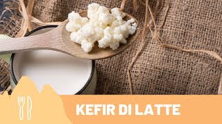 Corso di #Gelato - Kefir di latte - Il latte fermentato fatto in casa con Sandro