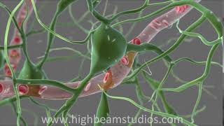 Neuron animation