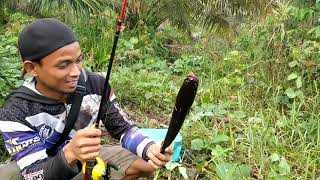 Sambaran GANAS penunggu sungai kecil🤯🤯🤯