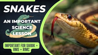 Science behind Snakes #snake #snakevideo #sciencefiction #educationmatters #sainik