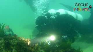 Circuitpower - Full Movie Cascais Dive - Hildebrand - Action Cam Midland XTC400