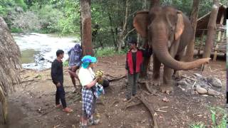 Elephant Riding Cambodia