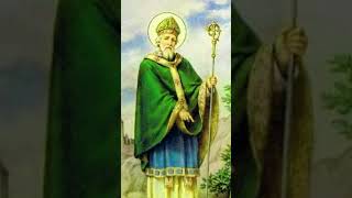 Il Santo del Giorno. Il 17 Marzo si venera San Patrizio.