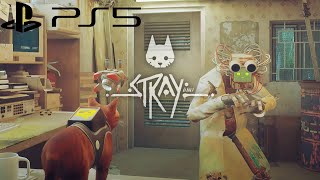 Stray PS5 Gameplay - Dead End